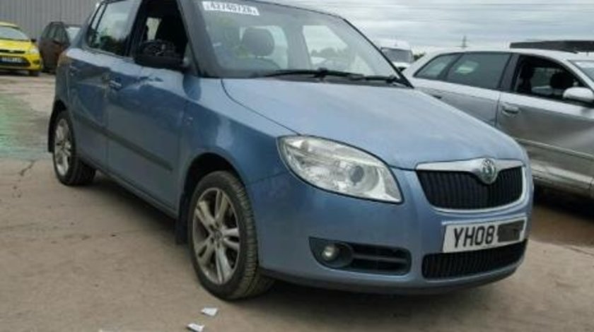 DEZMEMBREZ SKODA FABIA 2, 1.9TDI BSW