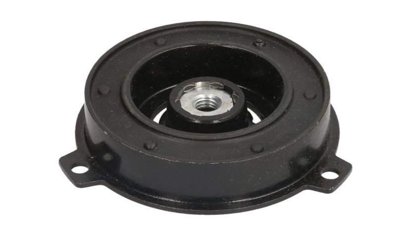 Disc ambeiaj magnetic compresor clima AUDI A3 (8P1) THERMOTEC KTT020009