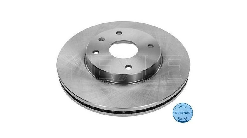 Disc de frana Chevrolet (SGM) EPICA 2006-2016 #2 0986479649