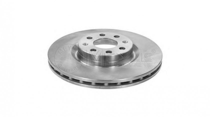 Disc de frana Fiat GRANDE PUNTO (199) 2005-2016 #2 09493914