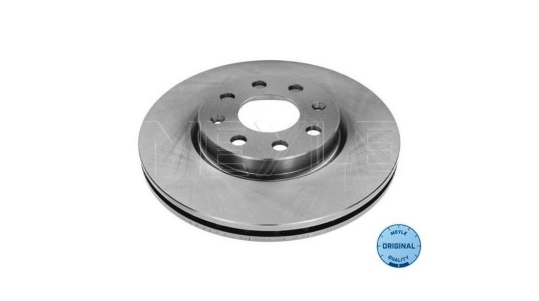 Disc de frana Fiat GRANDE PUNTO (199) 2005-2016 #2 08508634