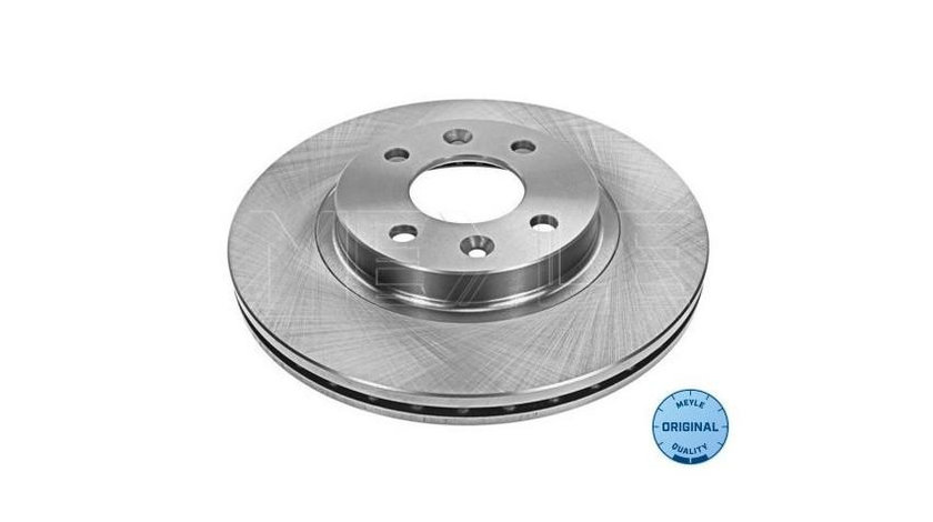 Disc de frana Renault CLIO Mk II (BB0/1/2_, CB0/1/2_) 1998-2016 #2 09073