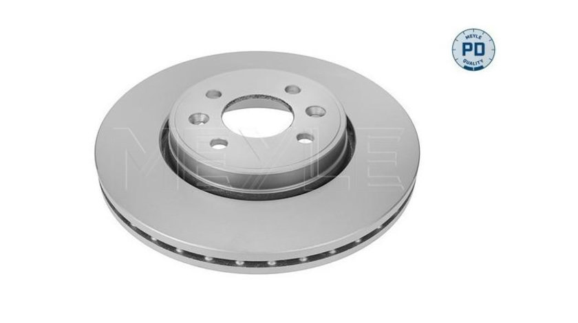 Disc de frana Renault SCENIC II (JM0/1_) 2003-2016 #2 09813721