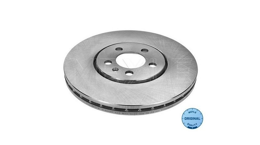 Disc de frana Volkswagen VW GOLF Mk III Estate (1H5) 1993-1999 #2 09674710