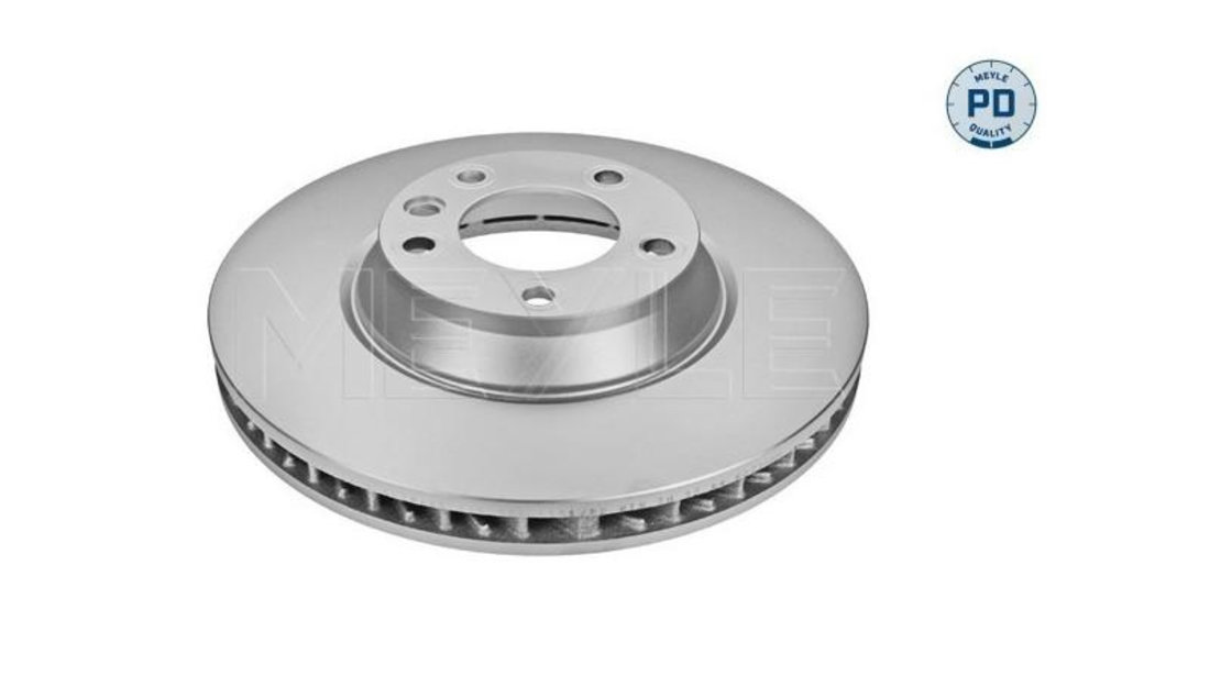 Disc de frana Volkswagen VW TOUAREG (7LA, 7L6, 7L7) 2002-2010 #2 17504