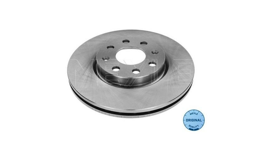 Disc de franare Fiat GRANDE PUNTO (199) 2005-2016 #2 08508634