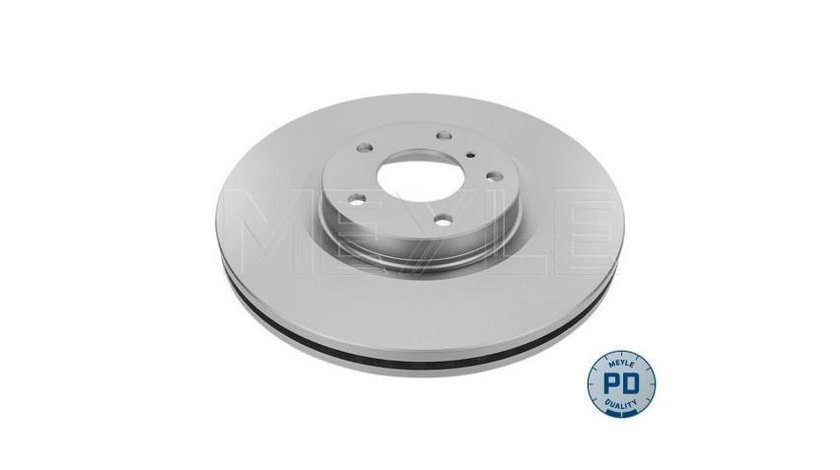 Disc de franare Nissan MURANO (Z51) 2007-2016 #2 0986479R22