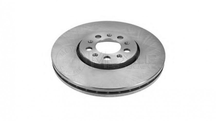 Disc de franare Volkswagen VW GOLF Mk IV (1J1) 1997-2005 #2 09701020