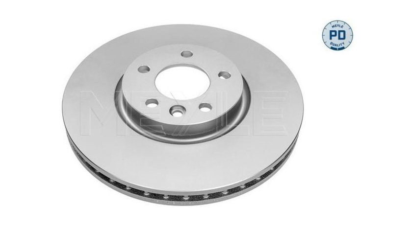 Disc de franare Volkswagen VW TRANSPORTER / CARAVELLE Mk V bus (7HB, 7HJ, 7EB, 7EJ, 7EF) 2003-2016 #2 0986479546