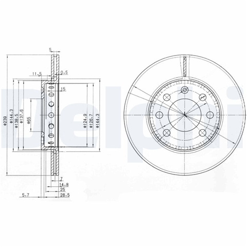 Disc Frana Delphi Audi BG3658