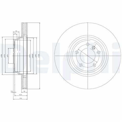 Disc Frana Delphi Bmw BG9019