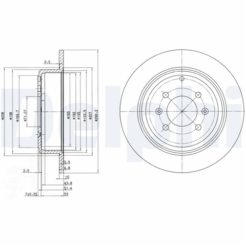 Disc Frana Delphi Peugeot BG2873
