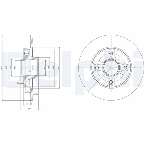 Disc Frana Delphi Peugeot BG9021RS
