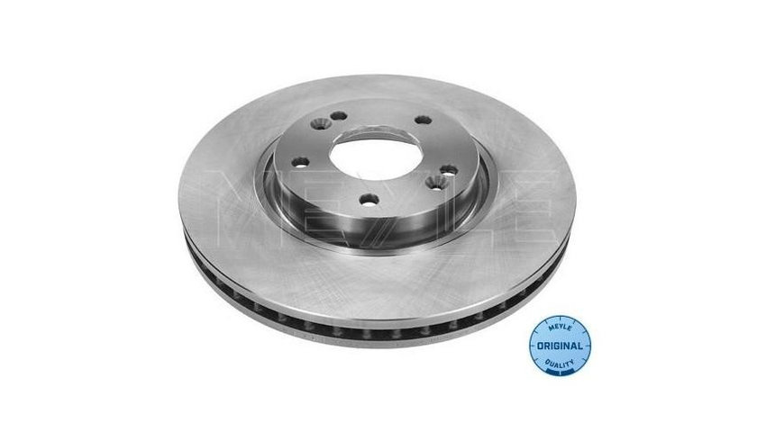 Disc frana Hyundai ix35 (LM, EL, ELH) 2009-2016 #2 0986479595