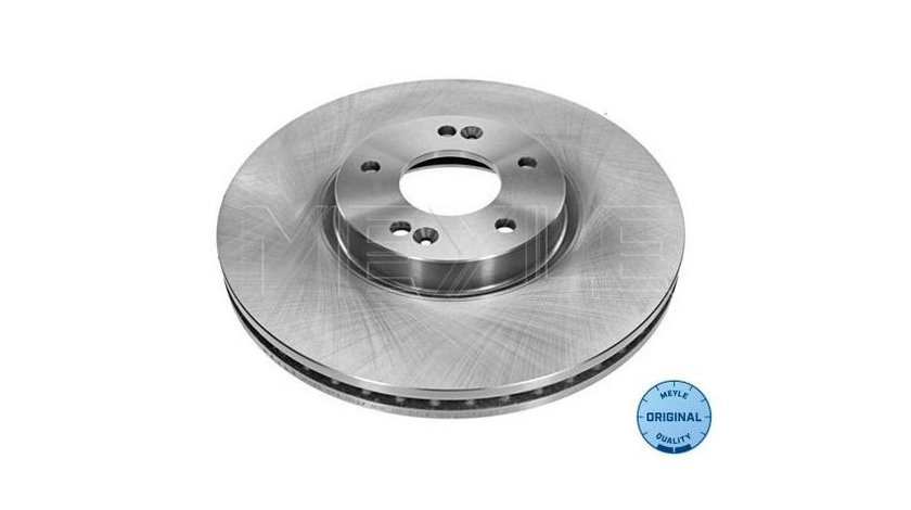 Disc frana Hyundai SANTA FE II (CM) 2005-2016 #2 0986479536