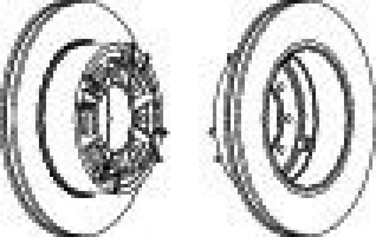Disc frana IVECO DAILY III platou / sasiu (1999 - 2006) FERODO FCR140A piesa NOUA