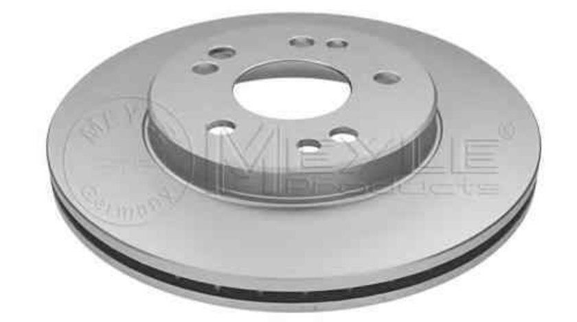 Disc frana MERCEDES-BENZ E-CLASS combi (S124) MEYLE 015 521 2009/PD