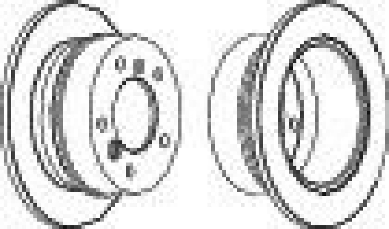 Disc frana MERCEDES G-CLASS Cabrio (W463) (1989 - 2016) FERODO FCR230A piesa NOUA
