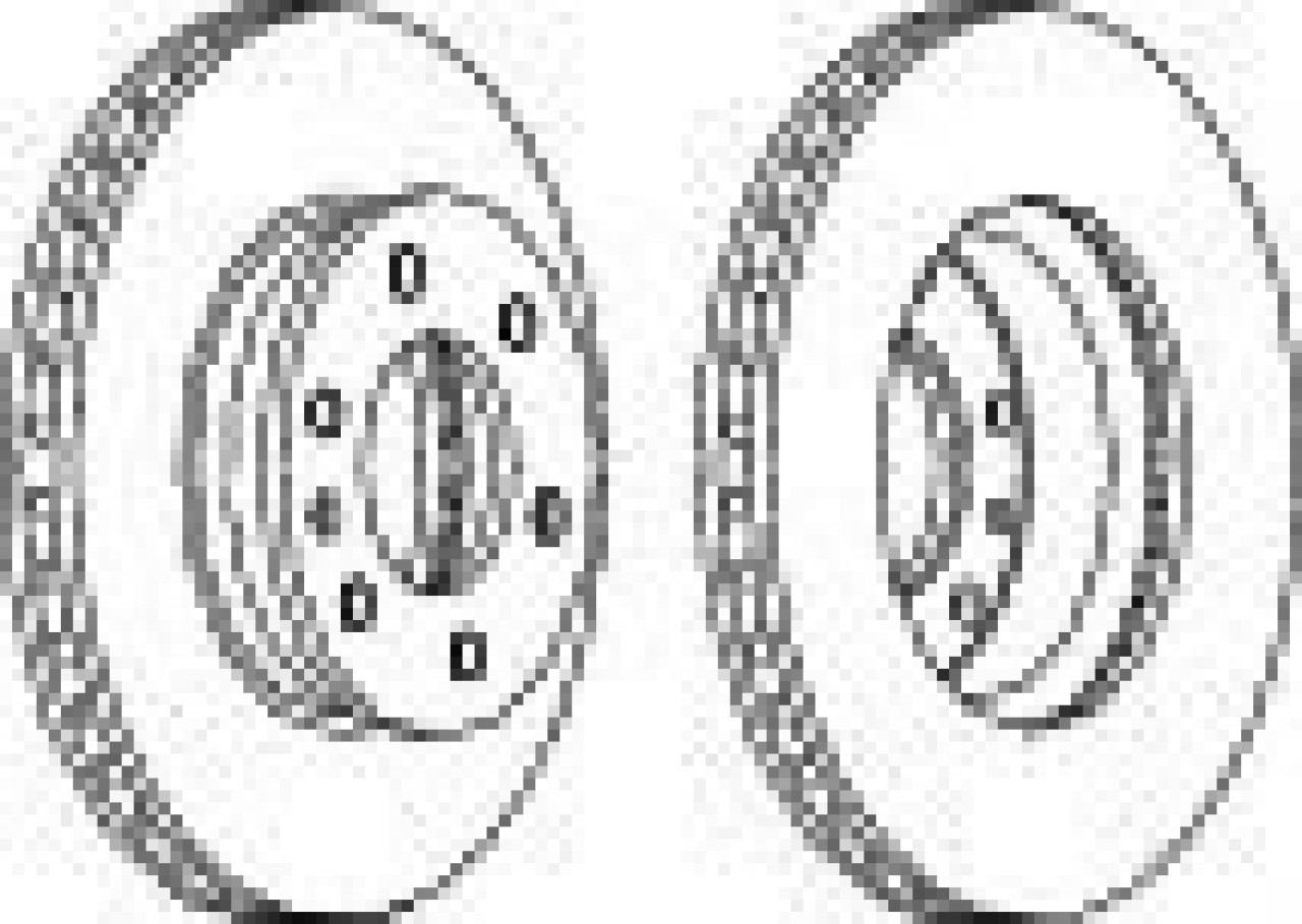 Disc frana MERCEDES SPRINTER 3-t platou / sasiu (906) (2006 - 2016) FERODO FCR310A piesa NOUA