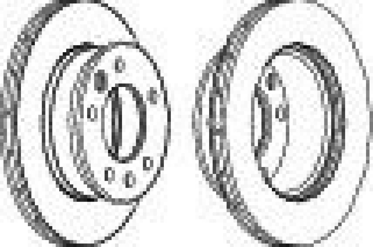 Disc frana MERCEDES SPRINTER 4-t bus (904) (1996 - 2006) FERODO FCR228A piesa NOUA