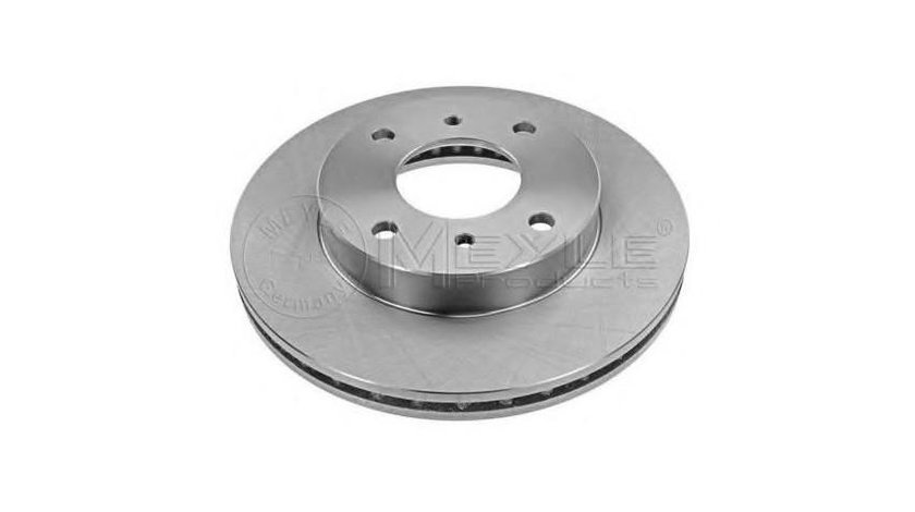 Disc frana Nissan AXXESS (M11) 1988-1994 #2 09544914