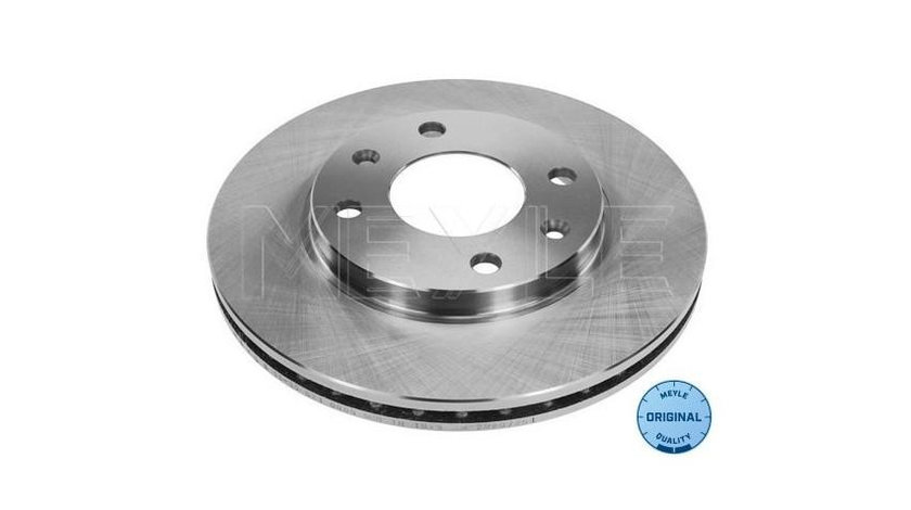 Disc frana Peugeot 205 (741A/C) 1983-1987 #2 09519610