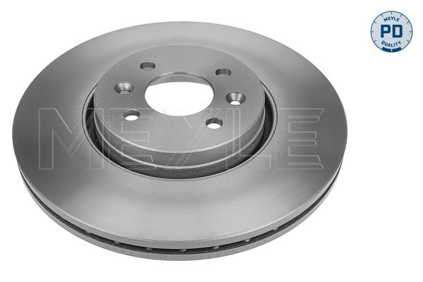 Disc frana punte fata (16155210038PD MEYLE) RENAULT