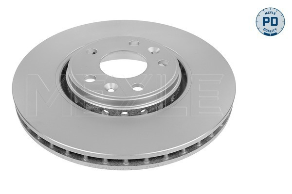 Disc frana punte fata (16155210043PD MEYLE) RENAULT