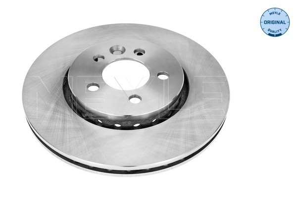 Disc frana punte fata (45155210008 MEYLE) MG,ROVER