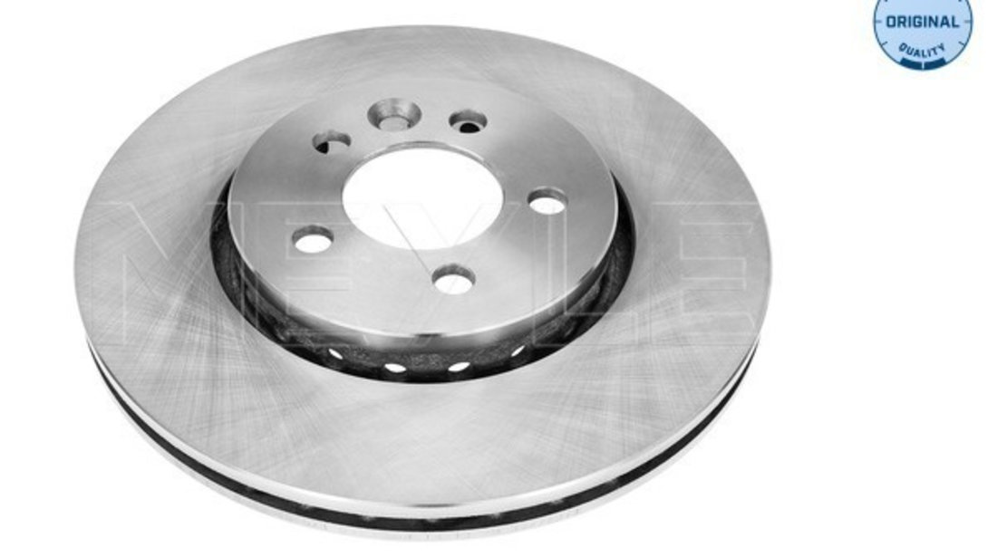 Disc frana punte fata (45155210008 MEYLE) MG,ROVER