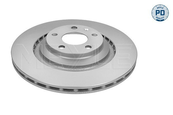 Disc frana puntea spate (1155230028PD MEYLE) AUDI,AUDI (FAW)