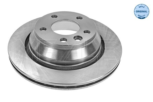 Disc frana puntea spate (1155231116 MEYLE) VW