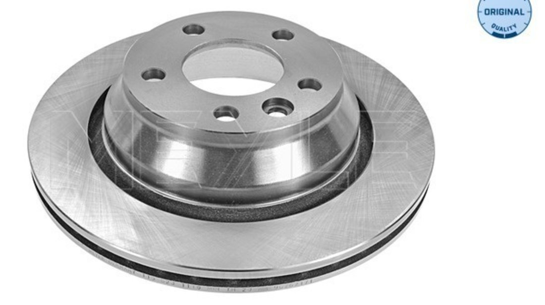 Disc frana puntea spate (1155231116 MEYLE) VW