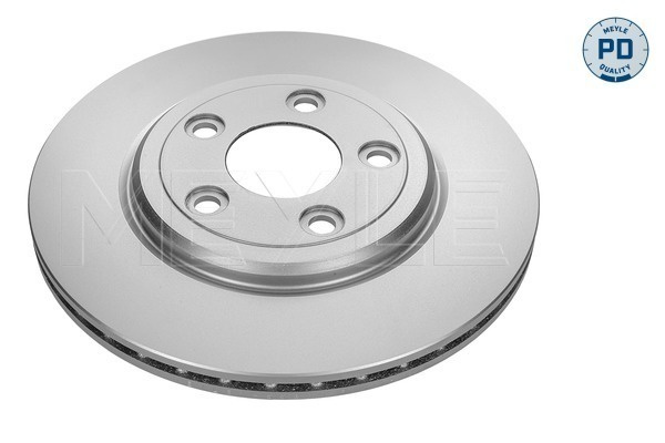 Disc frana puntea spate (18155230002PD MEYLE) JAGUAR