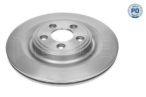 Disc frana puntea spate (18155230008PD MEYLE) JAGUAR