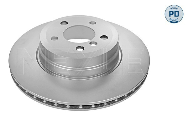 Disc frana puntea spate (3155230025PD MEYLE) BMW