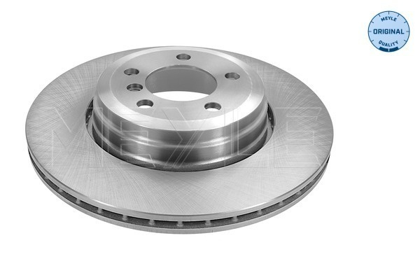 Disc frana puntea spate (3155230046 MEYLE) BMW