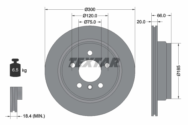 Disc frana puntea spate (92239703 TEXTAR) BMW,BMW (BRILLIANCE)