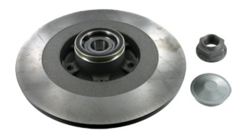 Disc frana puntea spate (VKBD1019 SKF) RENAULT