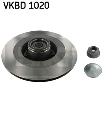 Disc frana puntea spate (VKBD1020 SKF) RENAULT