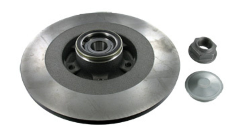 Disc frana puntea spate (VKBD1030 SKF) RENAULT