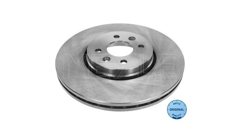 Disc frana Renault GRAND SCENIC II (JM0/1_) 2004-2016 #2 0986479209