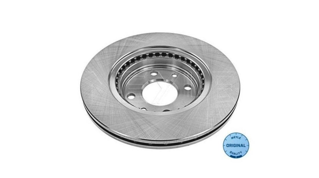 Disc frana Renault KANGOO Rapid (FC0/1_) 1997-2016 #2 09073