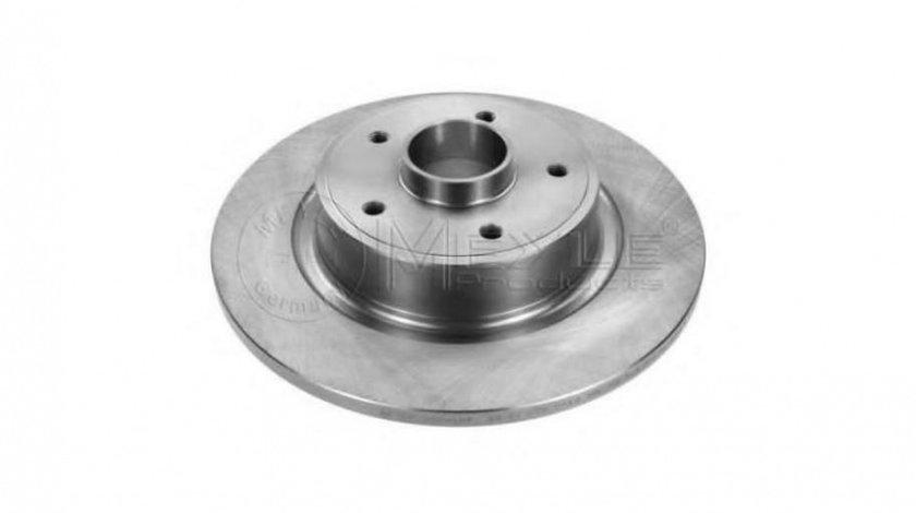 Disc frana Renault LAGUNA II (BG0/1_) 2001-2016 #2 08979210