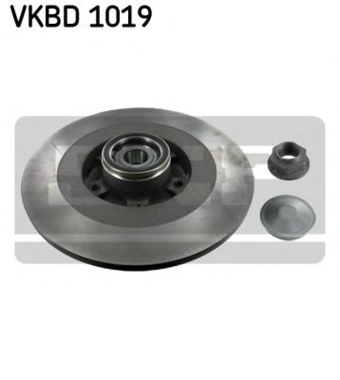 Disc frana RENAULT LAGUNA III (BT0/1) (2007 - 2016) SKF VKBD 1019 piesa NOUA