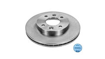 Disc frana Renault MEGANE I Coupe (DA0/1_) 1996-20...