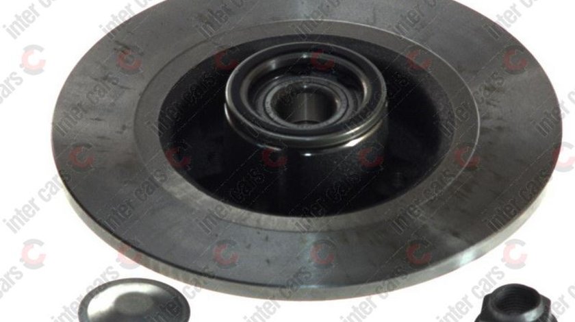 Disc frana RENAULT SCÉNIC II JM0/1 Producator SKF VKBD 1009