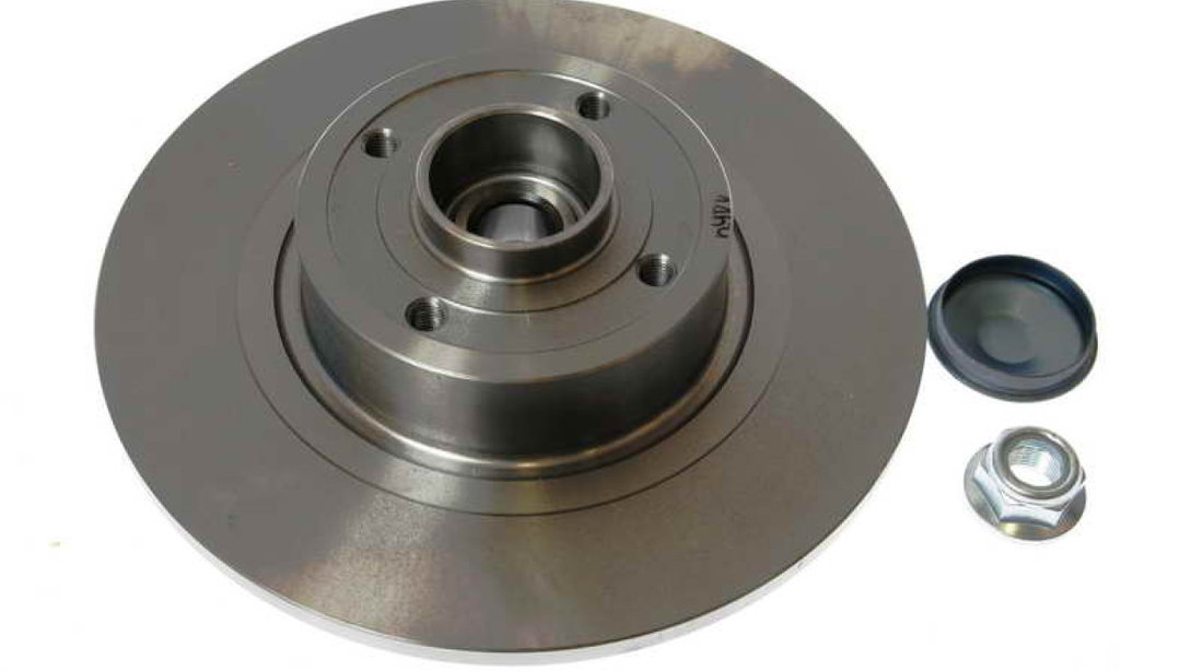 Disc frana RENAULT SCÉNIC II JM0/1 Producator BREMBO 08.A135.17