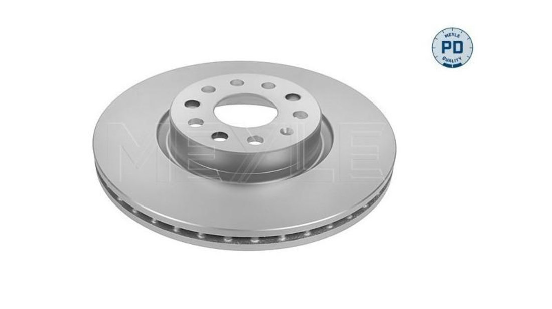 Disc frana Volkswagen VW CADDY III caroserie (2KA, 2KH, 2CA, 2CH) 2004-2016 #2 0986479058