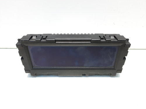 Display bord, cod GM12844841, Opel Insignia A (id:554852)